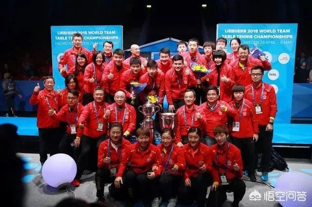 新华社的2018体育十佳:武大靖、苏炳添、徐嘉余、朱婷等上榜,你认为客观公正吗?