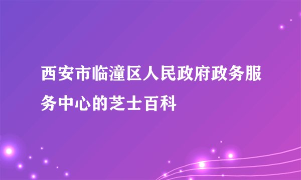 西安市临潼区人民政府政务服务中心的芝士百科