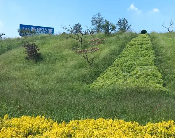 蔚然花海好玩吗?