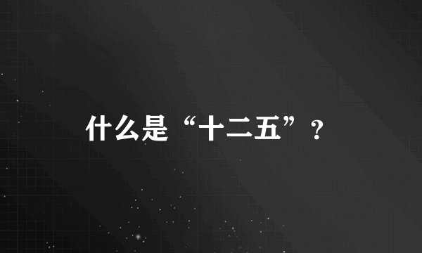 什么是“十二五”？