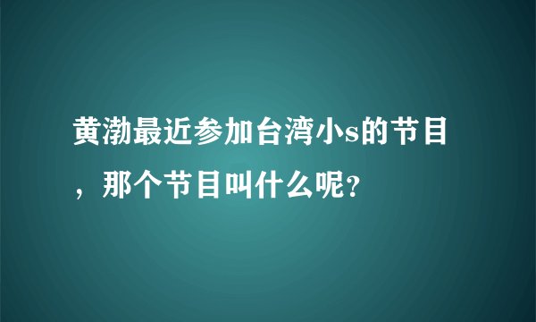 黄渤最近参加台湾小s的节目，那个节目叫什么呢？