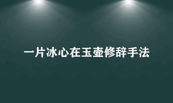 一片冰心在玉壶修辞手法
