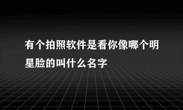 有个拍照软件是看你像哪个明星脸的叫什么名字
