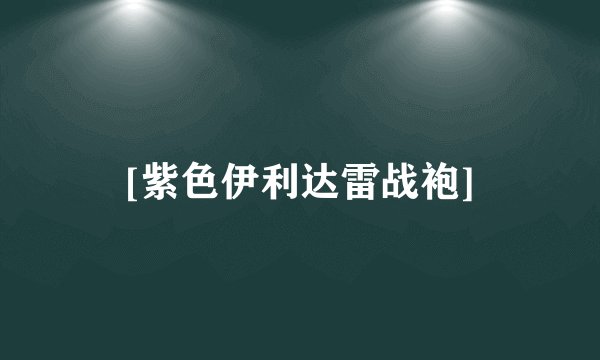 [紫色伊利达雷战袍]