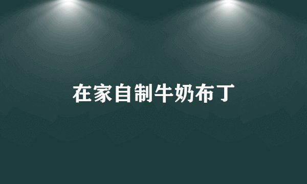 在家自制牛奶布丁