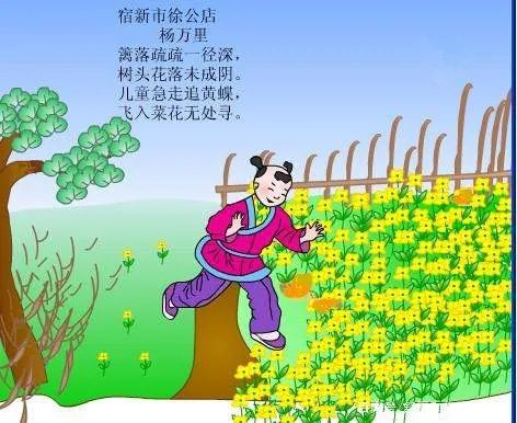 儿童急走追黄蝶,飞入菜花无处寻的意思是?