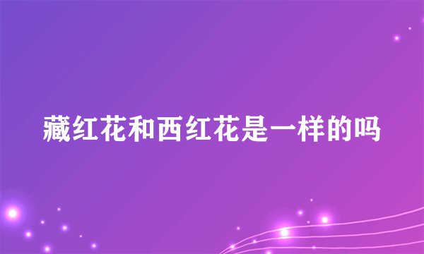 藏红花和西红花是一样的吗