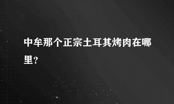 中牟那个正宗土耳其烤肉在哪里？