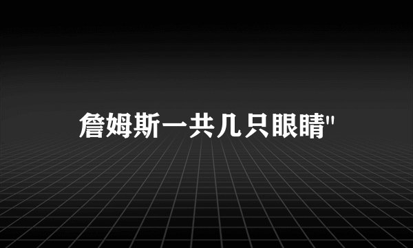 詹姆斯一共几只眼睛