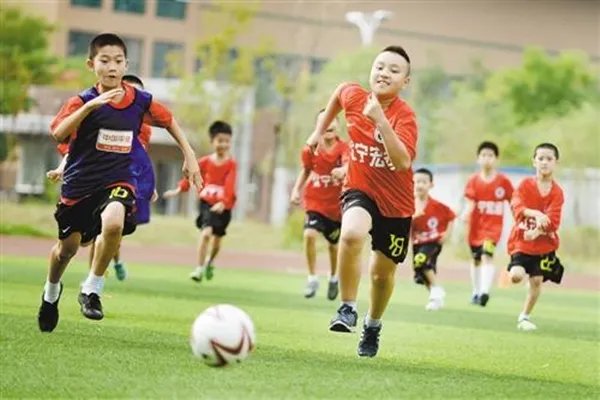 办公室小野支付救助金,怎样消除网络视频对小孩的不良影响?