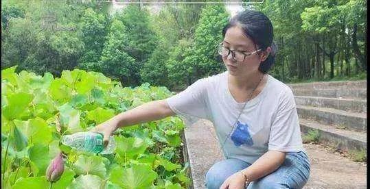 考古界团宠钟芳蓉北大报到,为何钟芳蓉一直备受关注?