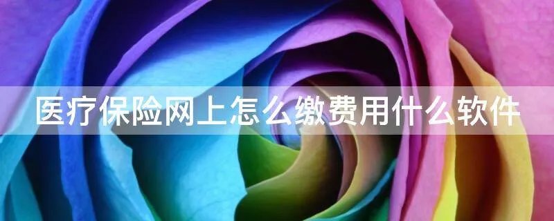 医疗保险网上怎么缴费用什么软件