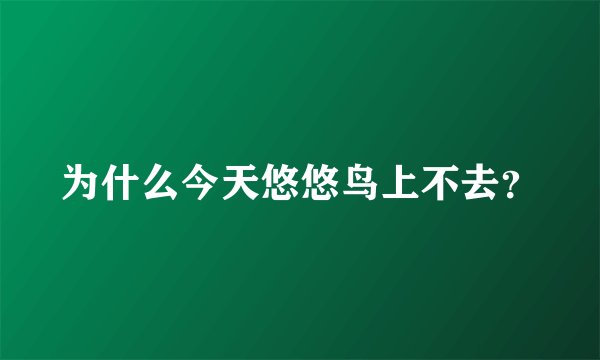 为什么今天悠悠鸟上不去？