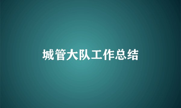 城管大队工作总结