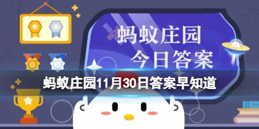 小鸡庄园黄花地丁是什么花 蚂蚁庄园被称为婆婆丁的植物答案早知道