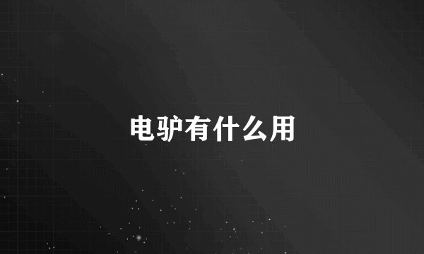 电驴有什么用