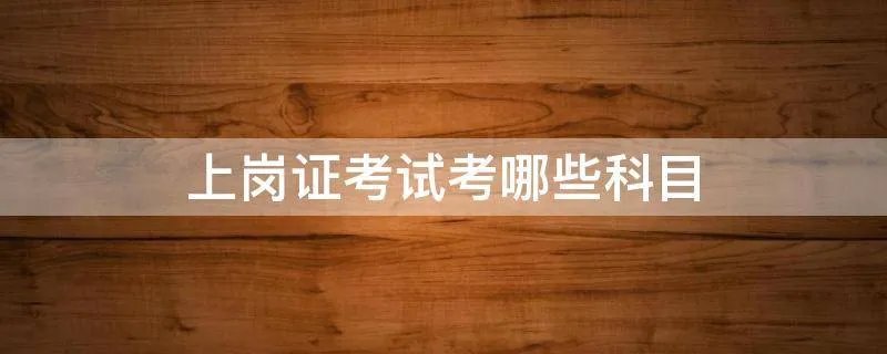 上岗证考试考哪些科目