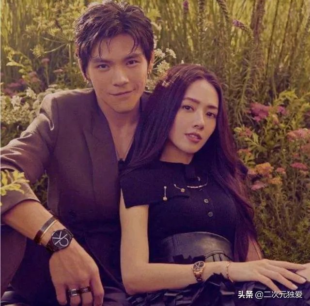 向佐根本不喜欢郭碧婷