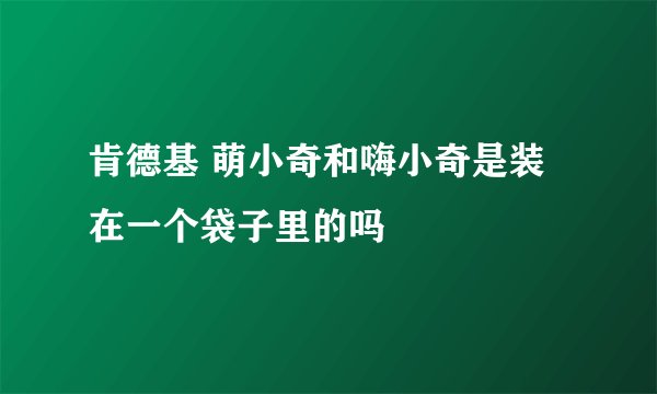肯德基 萌小奇和嗨小奇是装在一个袋子里的吗