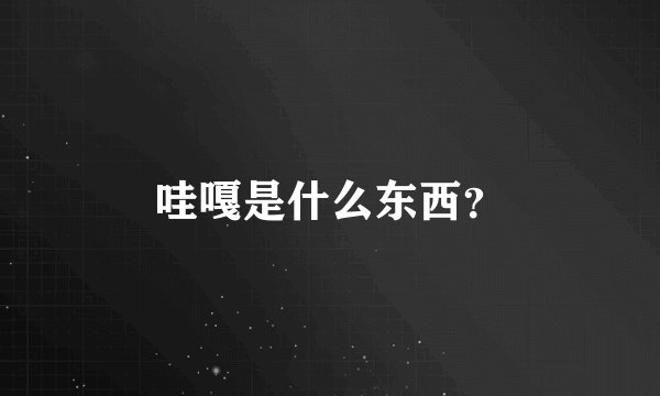 哇嘎是什么东西？