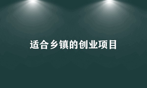 适合乡镇的创业项目