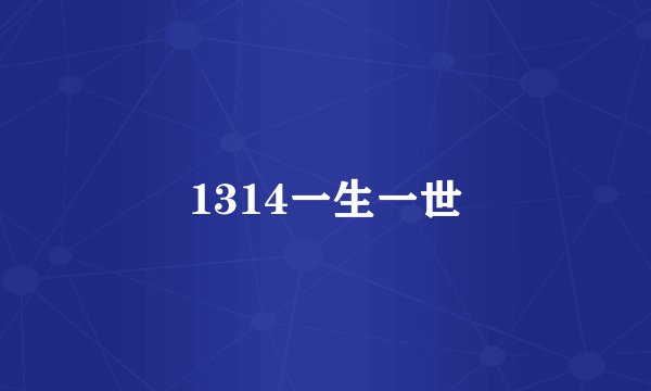 1314一生一世