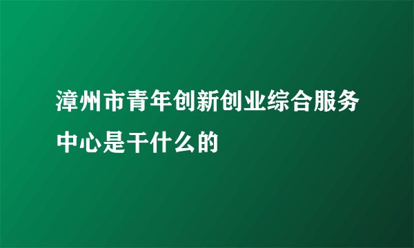 漳州市青年创新创业综合服务中心是干什么的