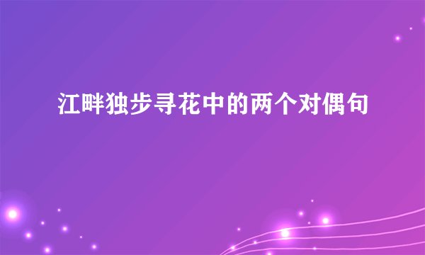 江畔独步寻花中的两个对偶句