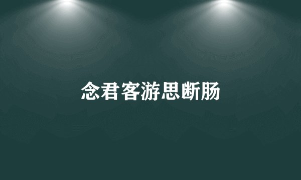 念君客游思断肠