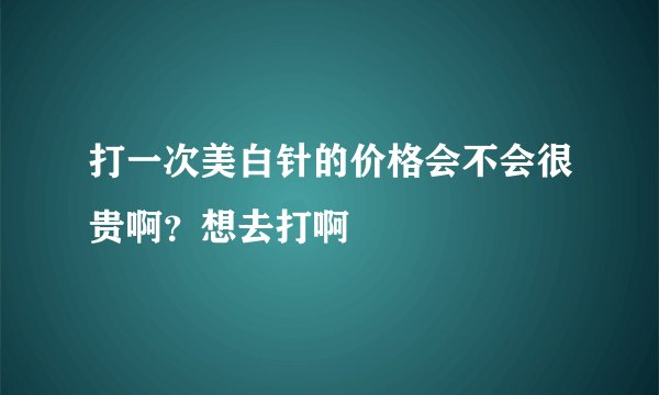 打一次美白针的价格会不会很贵啊？想去打啊