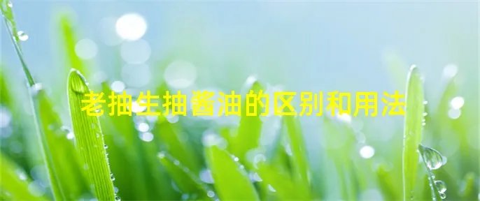老抽生抽酱油的区别和用法