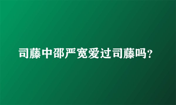司藤中邵严宽爱过司藤吗？