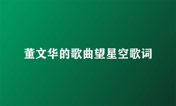 董文华的歌曲望星空歌词