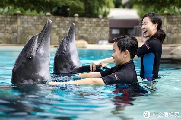 每日一景点 篇一百二十六:新加坡圣淘沙超详细攻略,沙滩、探险、机动游戏一网打尽!交通住宿景点攻略全都有!