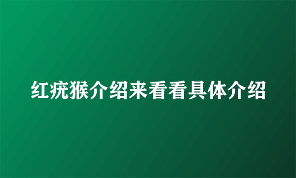 红疣猴介绍来看看具体介绍