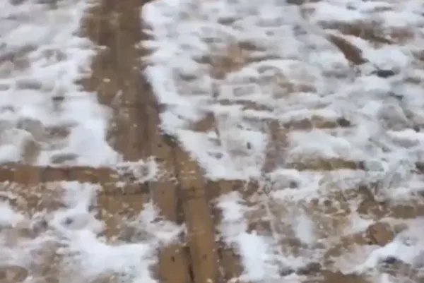 河南多景区飘起鹅毛大雪,今年天气为何如此反常?