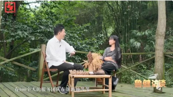 李子柒停更3个月后,上了央视的访问节目,她的状态如何?