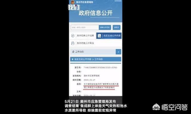 鱼跳上岸是什么征兆