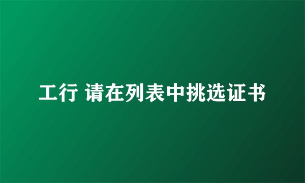 工行 请在列表中挑选证书