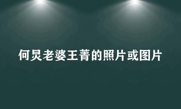 何炅老婆王菁的照片或图片