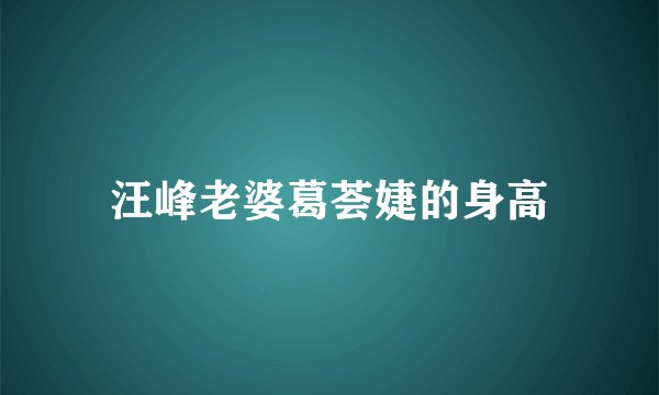 汪峰老婆葛荟婕的身高