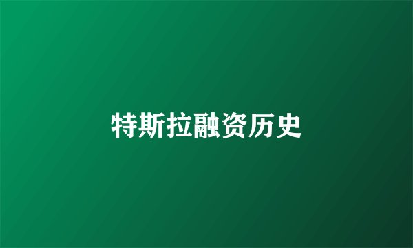 特斯拉融资历史