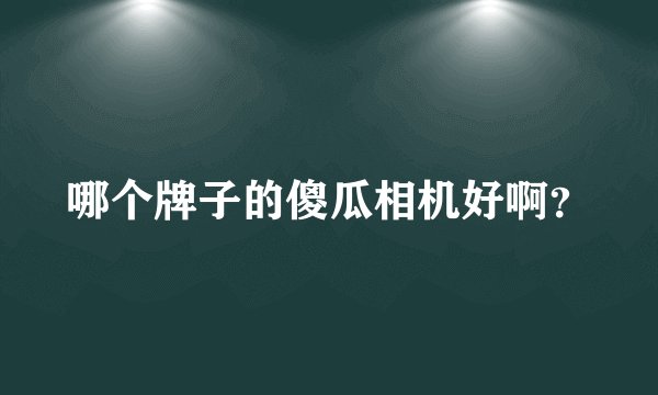 哪个牌子的傻瓜相机好啊?