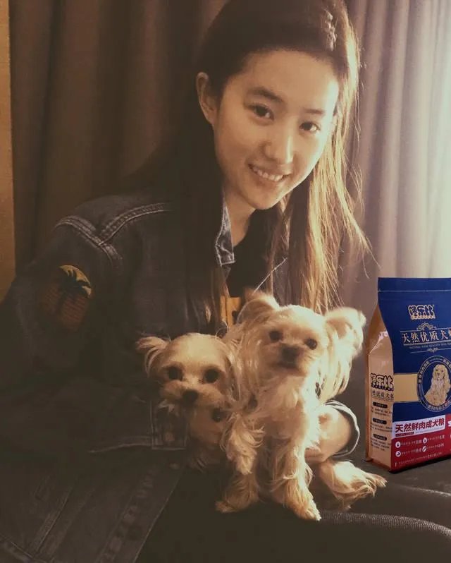 你知道哪些明星,在家养有什么样的宠物呢?