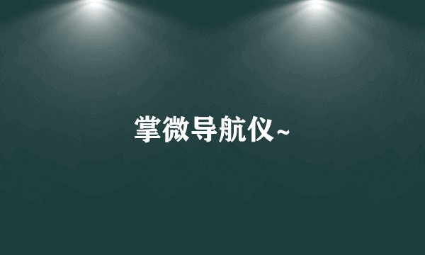 掌微导航仪~