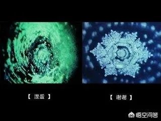 水知道答案是不是伪科学