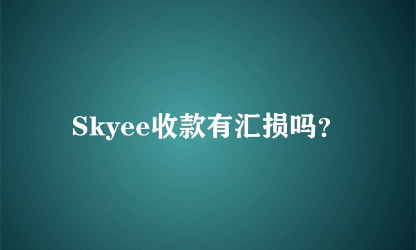 Skyee收款有汇损吗?