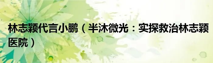 林志颖代言小鹏（半沐微光：实探救治林志颖医院）