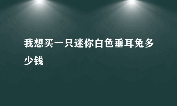 我想买一只迷你白色垂耳兔多少钱