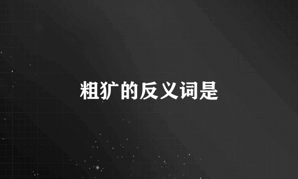 粗犷的反义词是